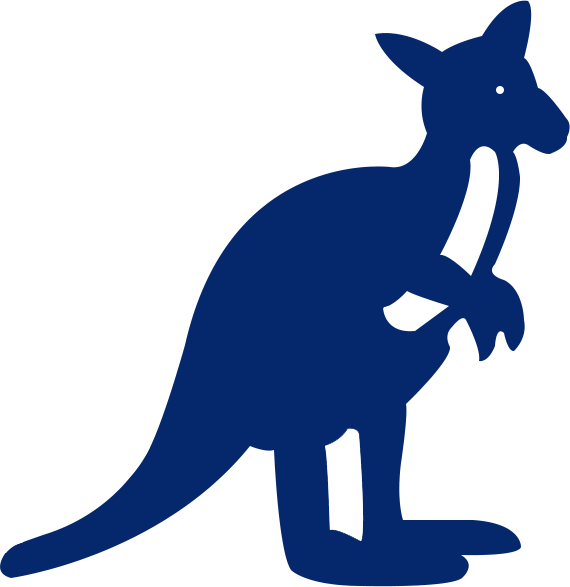 UMKC Kangaroos 1980-1987 Secondary Logo diy DTF decal sticker